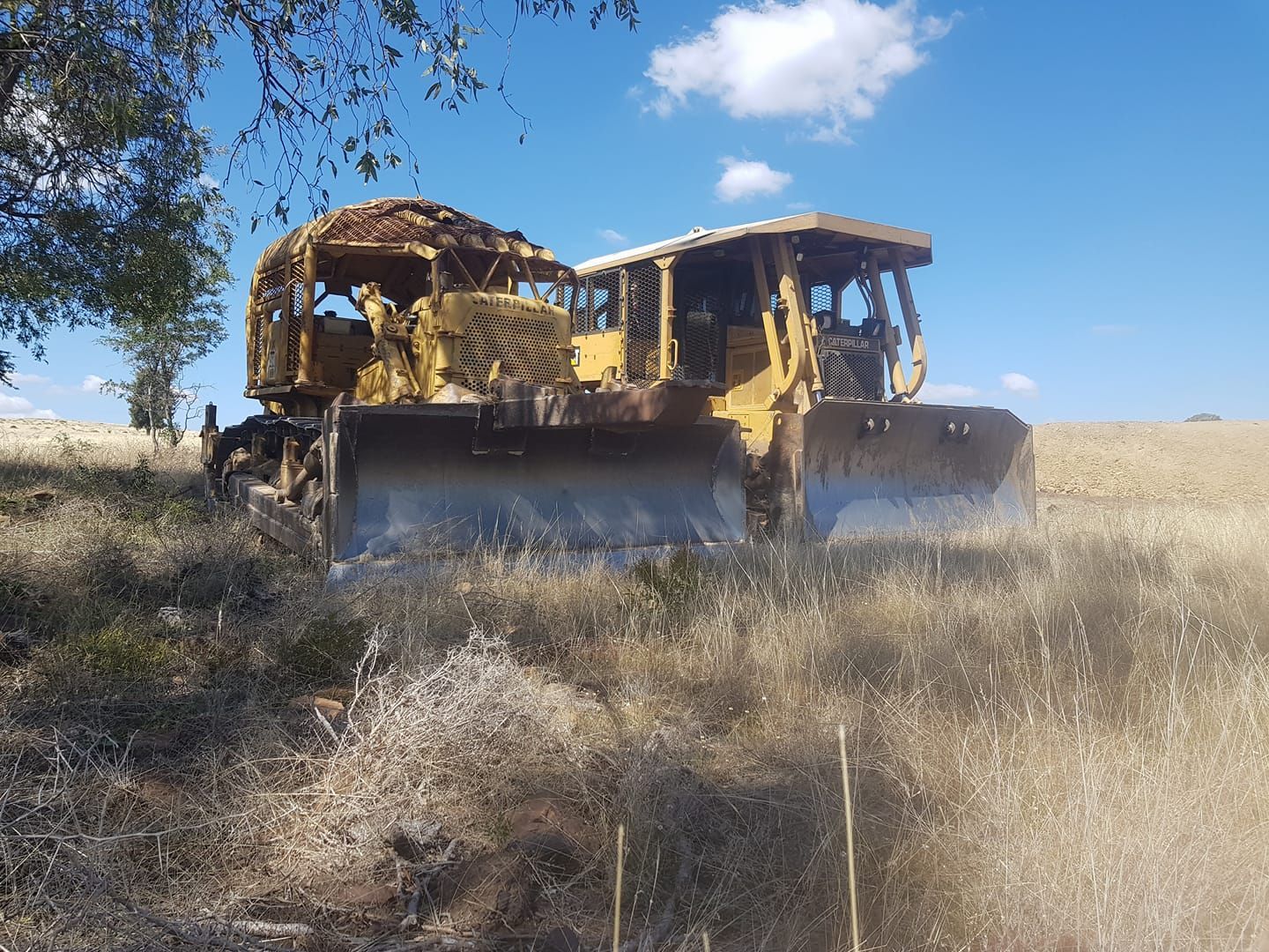Two Yellow Bulldozers in a Dry Grassy Field Under a Blue Sky — Oakleigh Earthmoving in Chinchilla, QLD