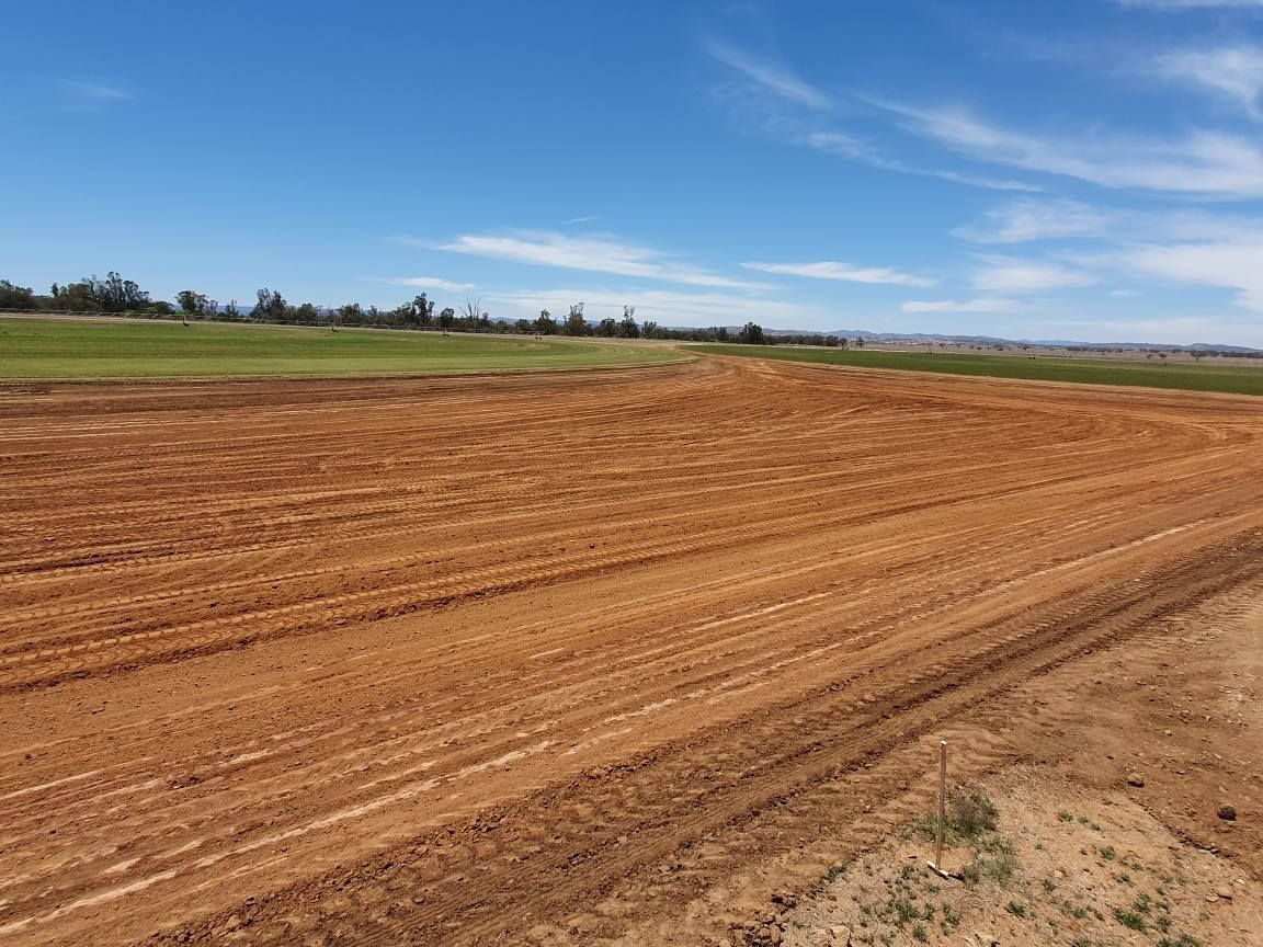 Recently Tilled Brown Field Beside Green Crops Under a Clear Blue Sky — Oakleigh Earthmoving in Kingaroy, QLD