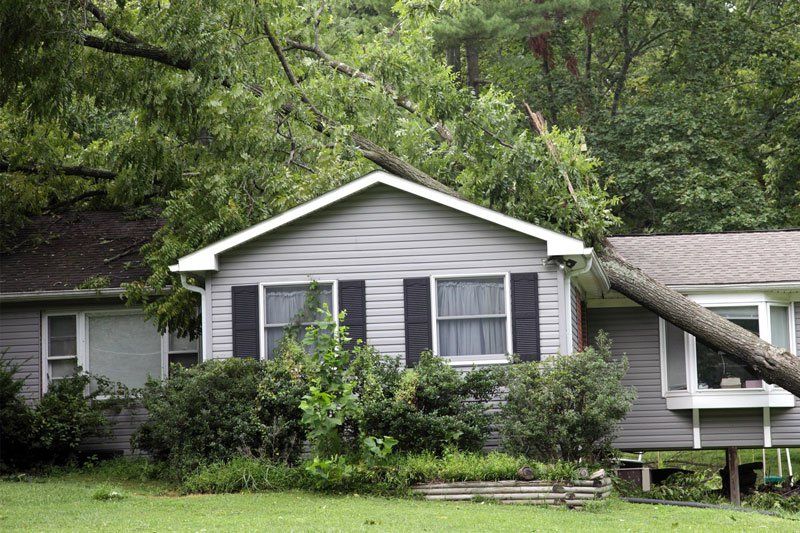 Storm Damage House — Bowling Green, KY — CMS Roofing