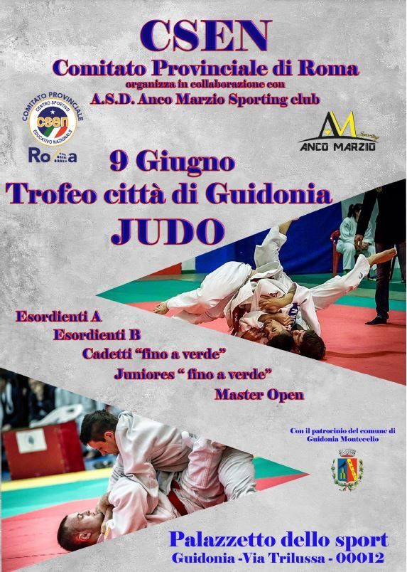 judo