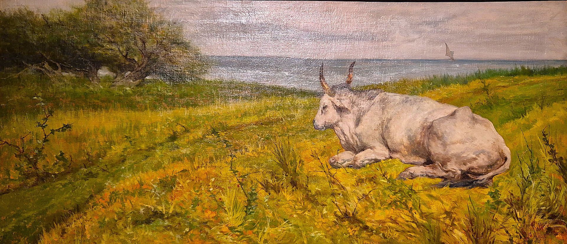 quadro olio su tavola raffigurante bue in riposo con sfondo campagna maremmana