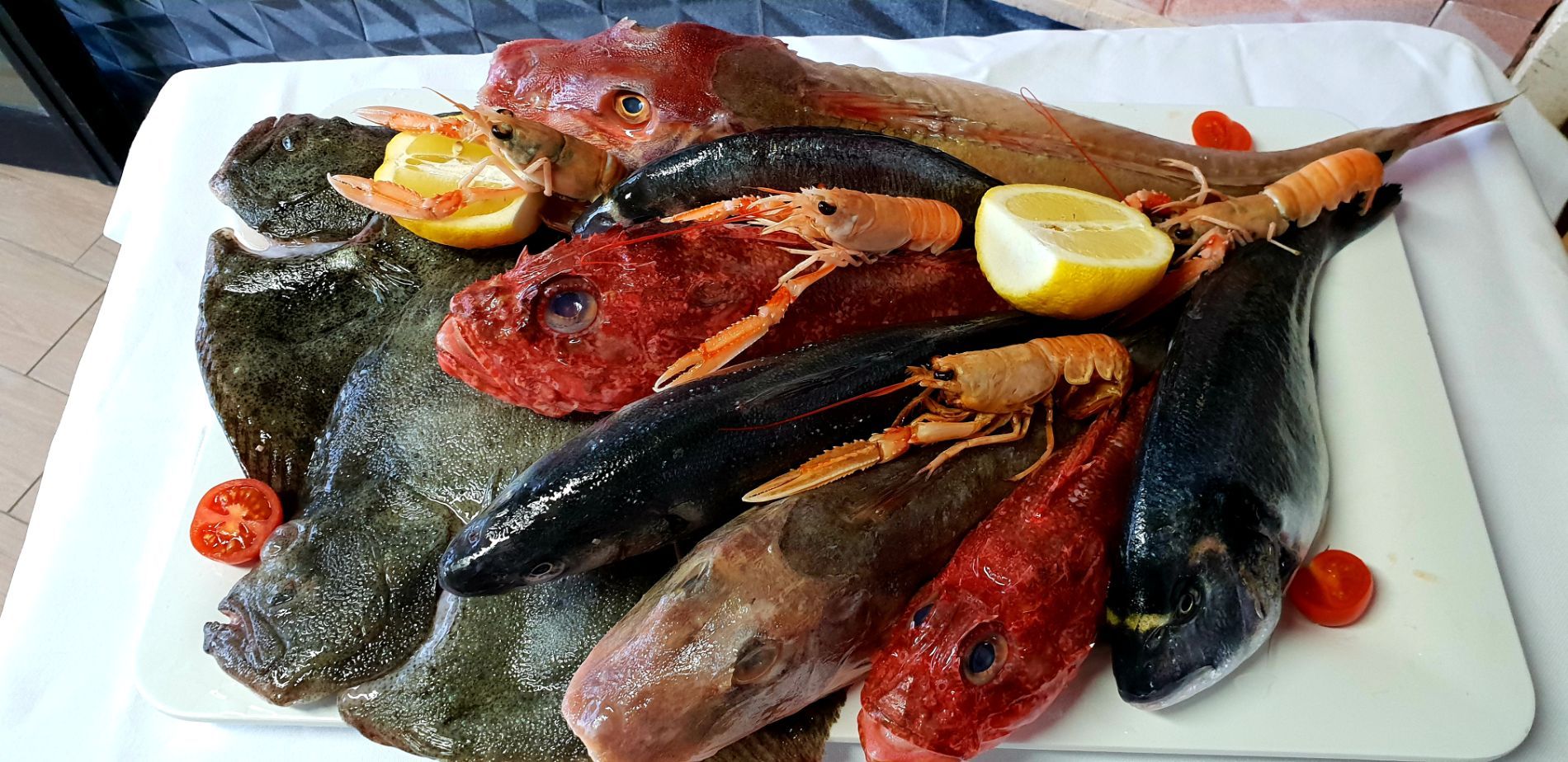 Pesce fresco di mare