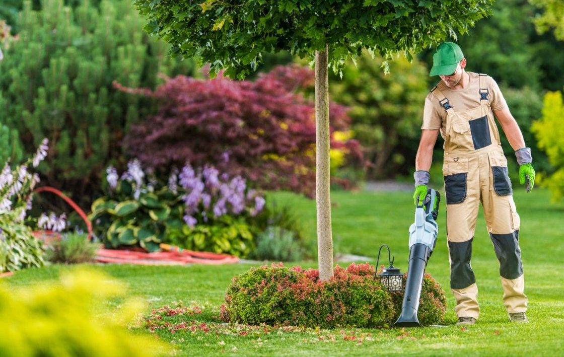 An image of Lawn Maintenance Services in Ansonia, CT