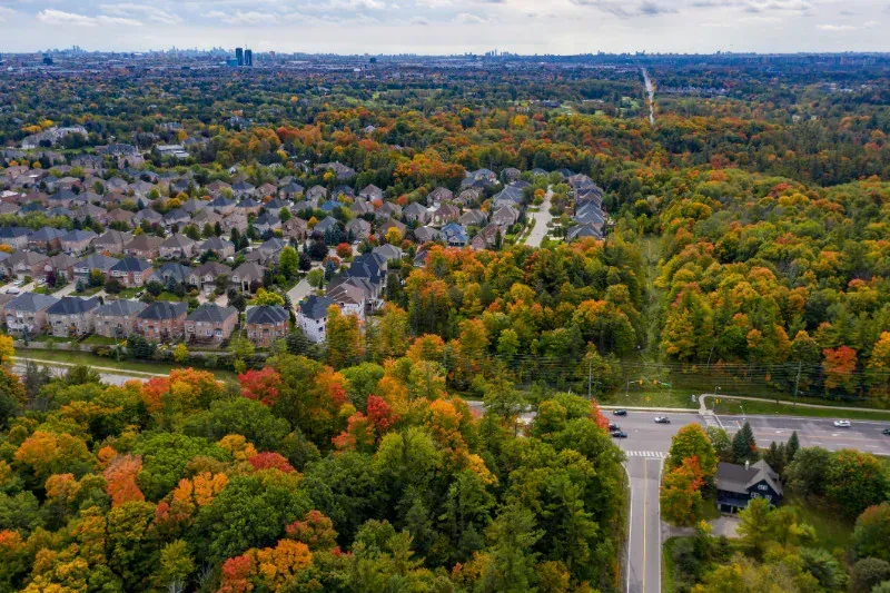 An aerial view of a residential area surrounded by trees and a road.