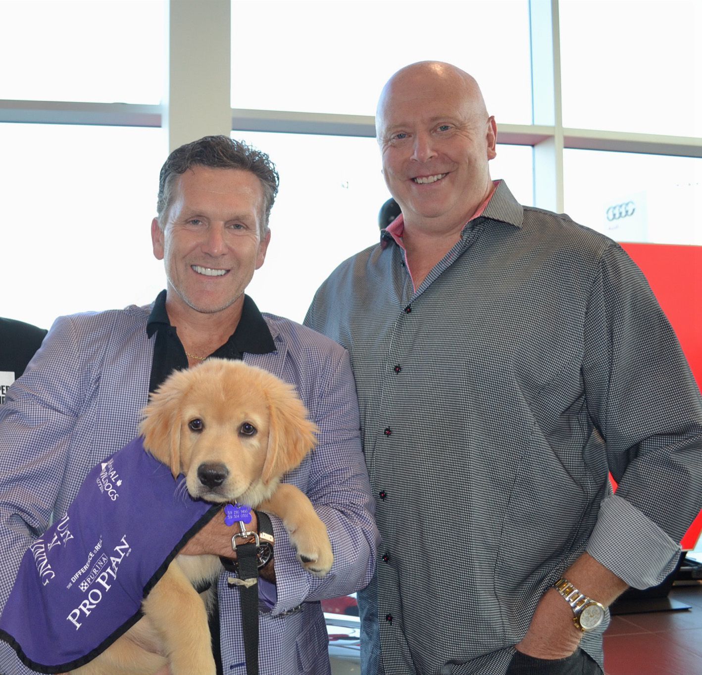 A man holding a puppy wearing a pro plan vest