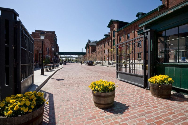 A brick street with barrels of yellow flowers in front of a building.