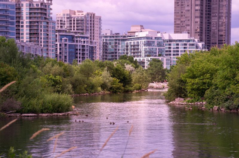A river surrounded by trees and tall buildings in a city.