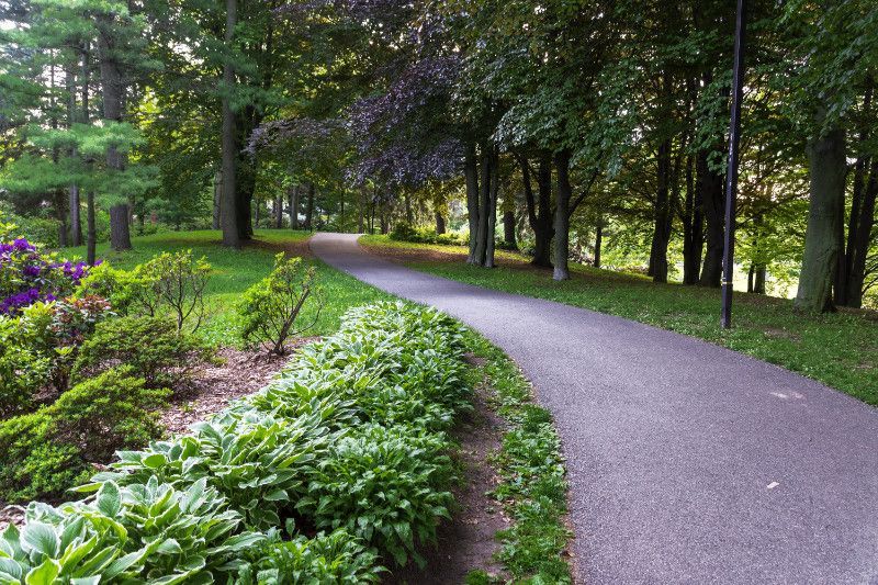 A path in a park surrounded by trees and bushes