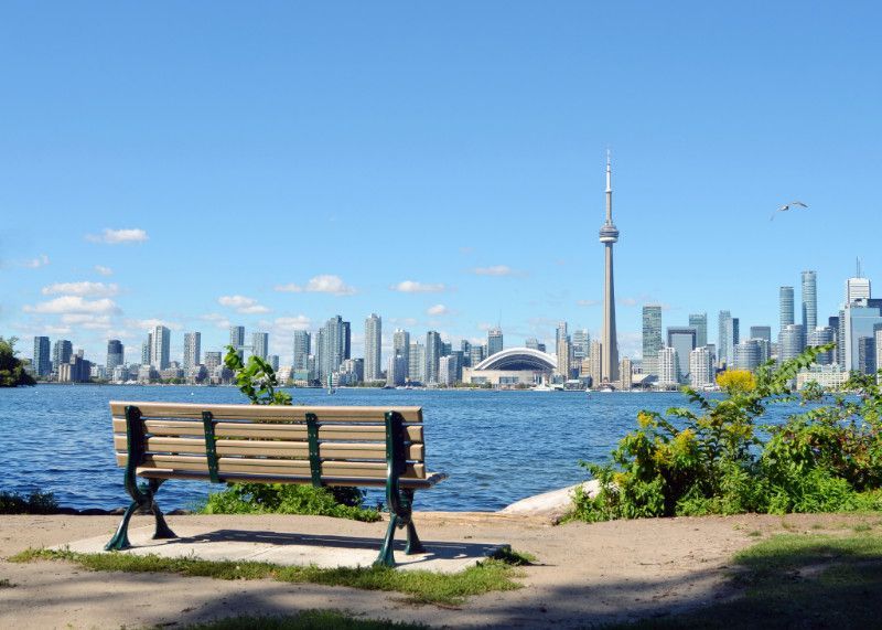 There is a bench in the foreground and a city skyline in the background.