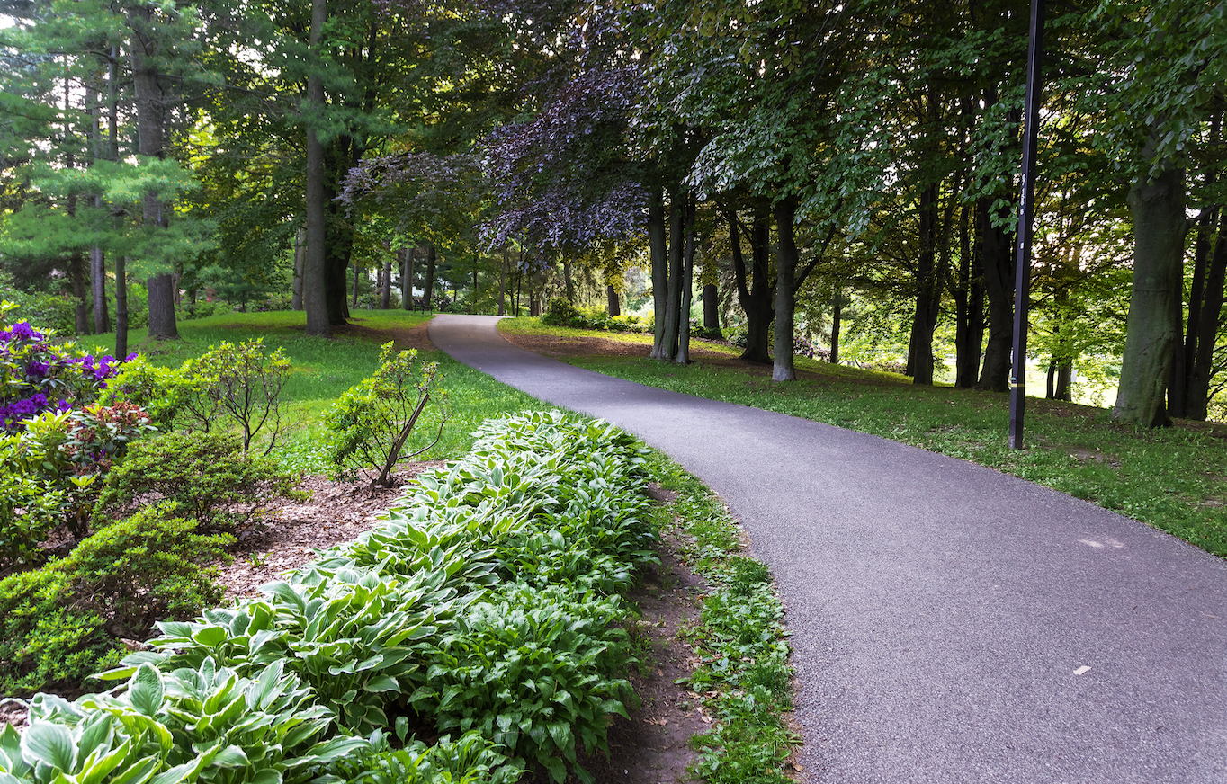 A path in a park surrounded by trees and bushes