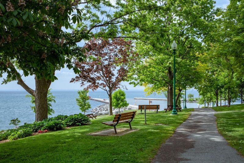 A park with a bench and trees next to a body of water.