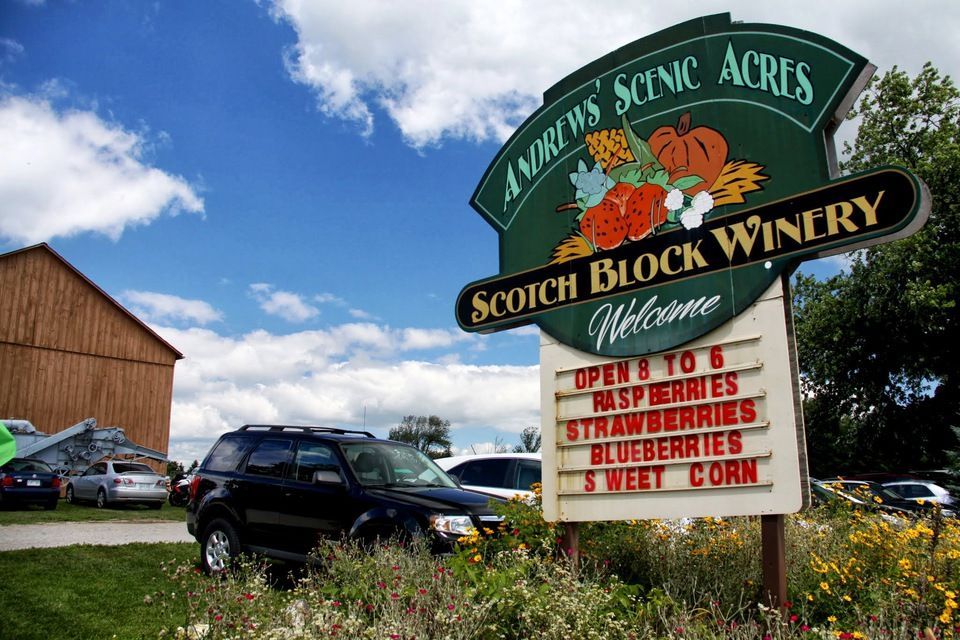 A bowl of noodles with shrimp and vegetables is being eaten with chopsticks.