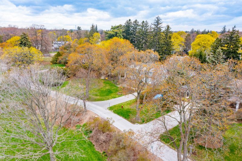 An aerial view of a park with trees and a road.