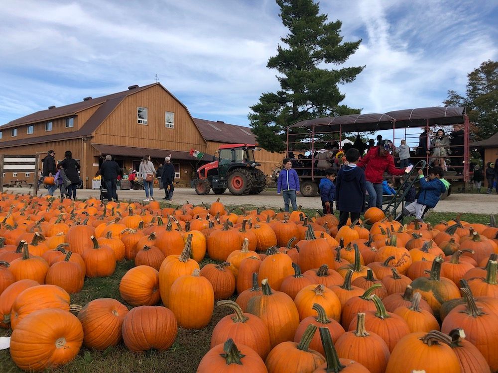 A black plate topped with sliced meat next to plates of food.