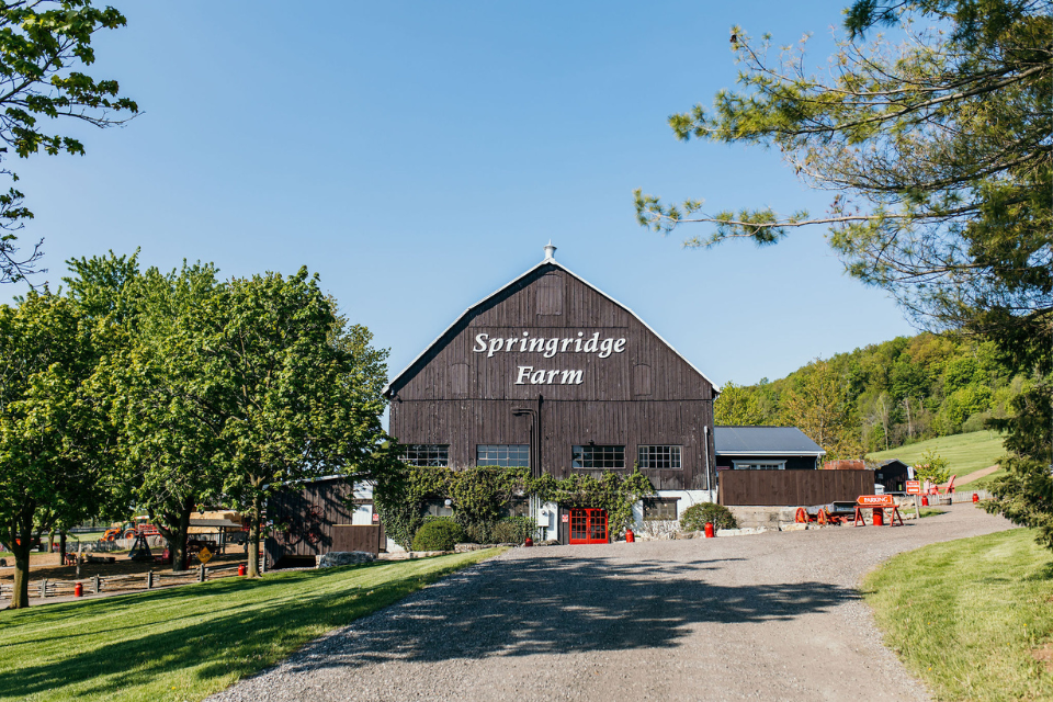 A large white bar in a restaurant with bottles on it