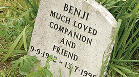 Memorial of Benji