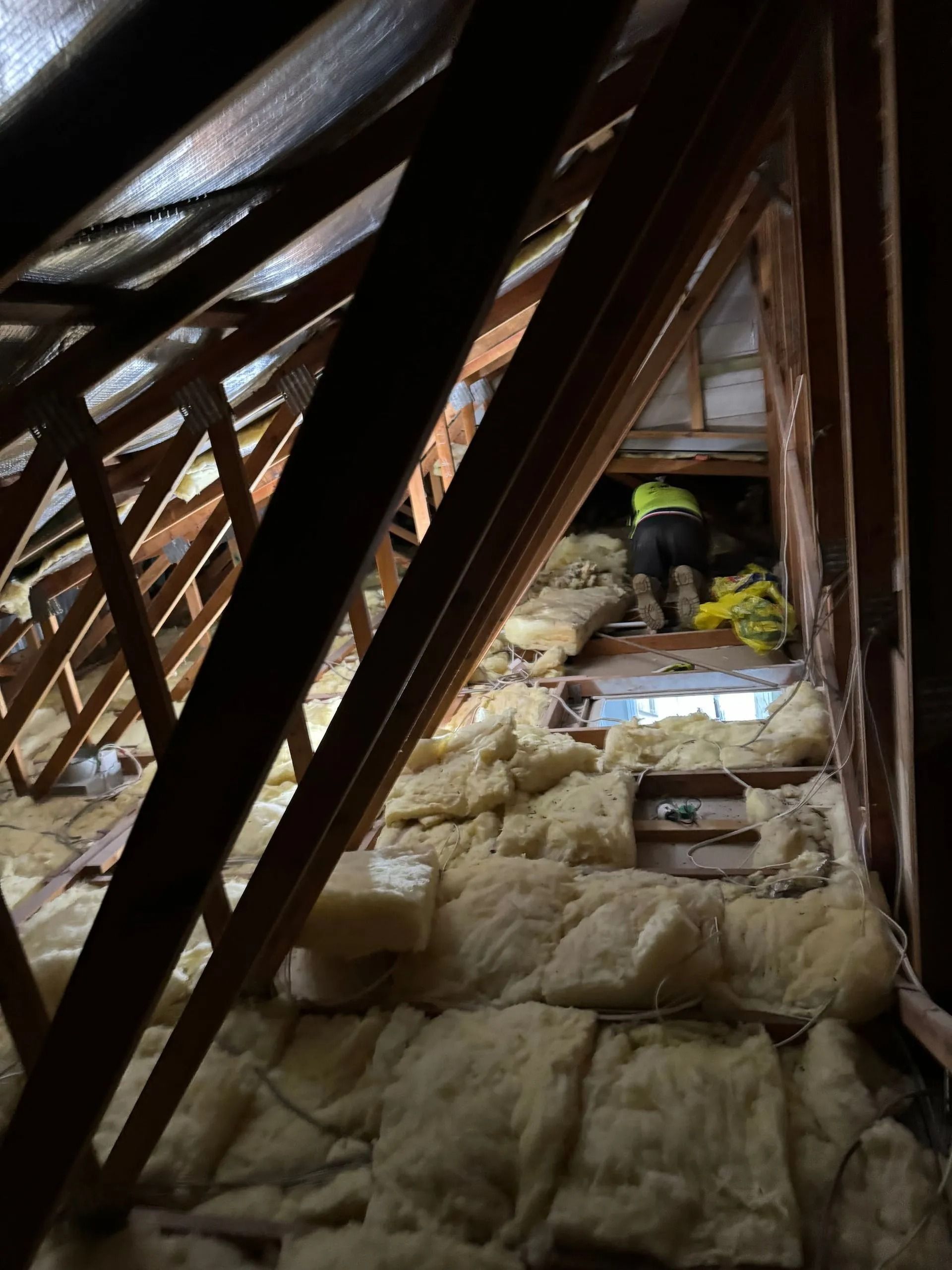 Worker in attic, removing insulation. Wooden beams and trusses surround the person.
