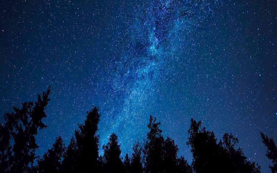A night sky filled with lots of stars and trees in the foreground.