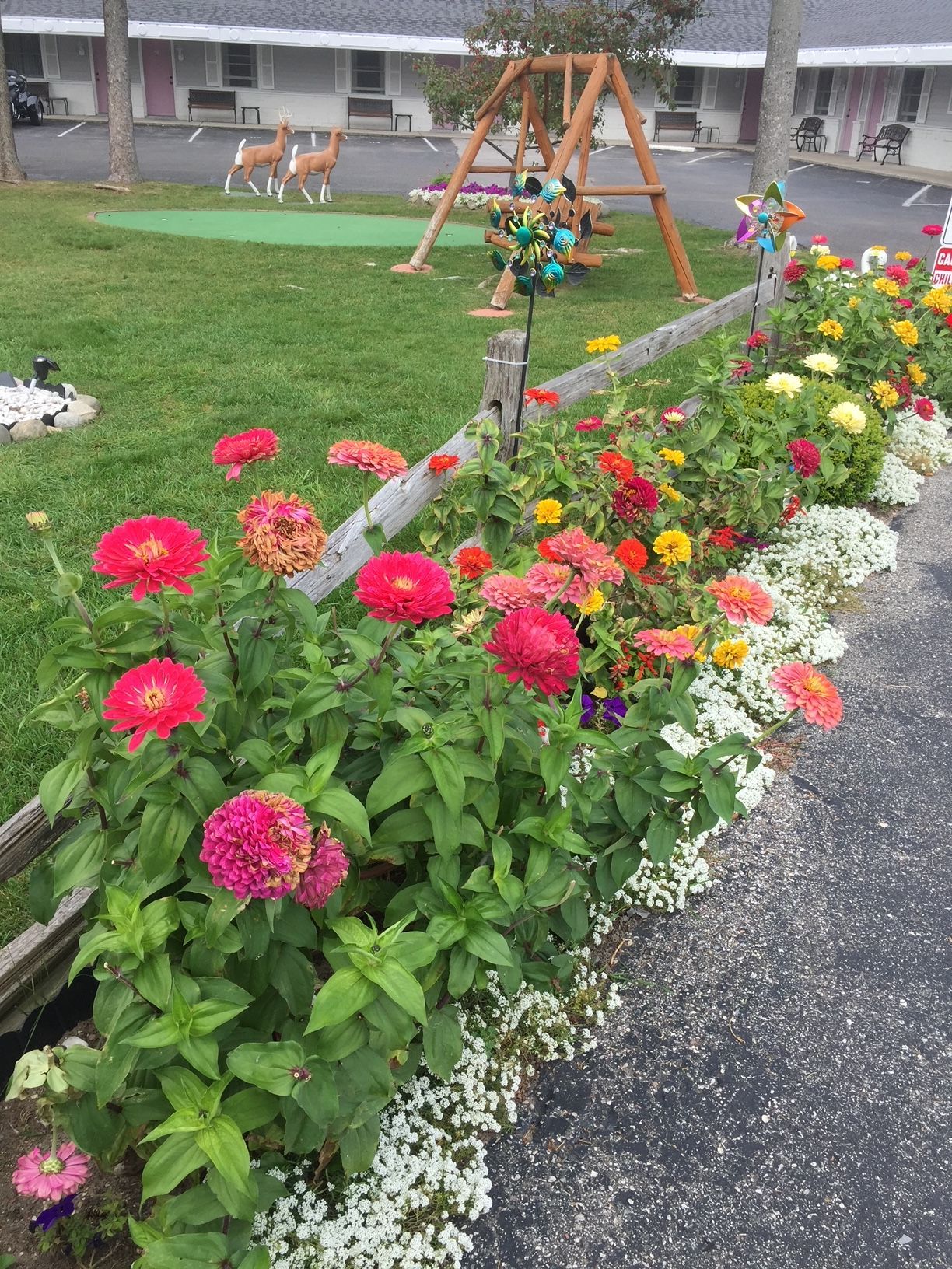 A garden with flowers and a swing set in the background.