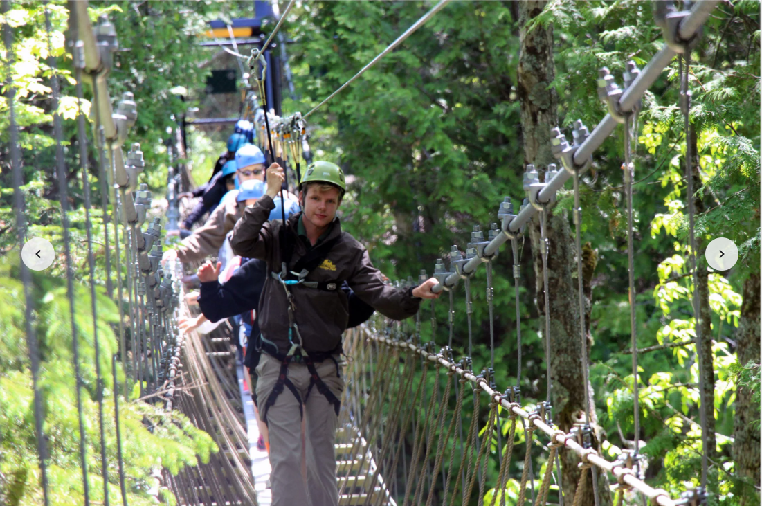 A group of people are walking across a rope bridge in the woods.