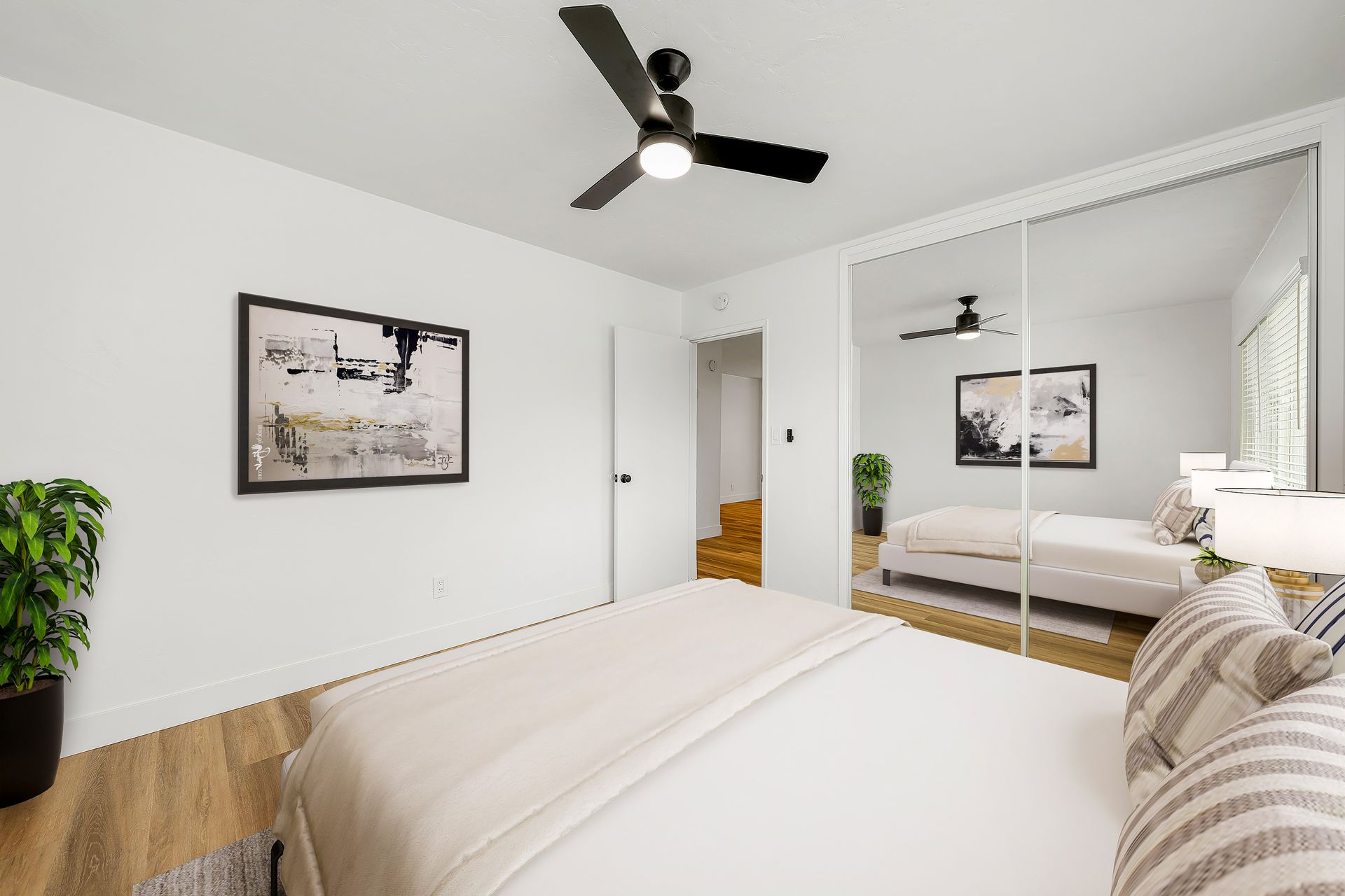 A bedroom with a bed , ceiling fan , and mirrored closets.