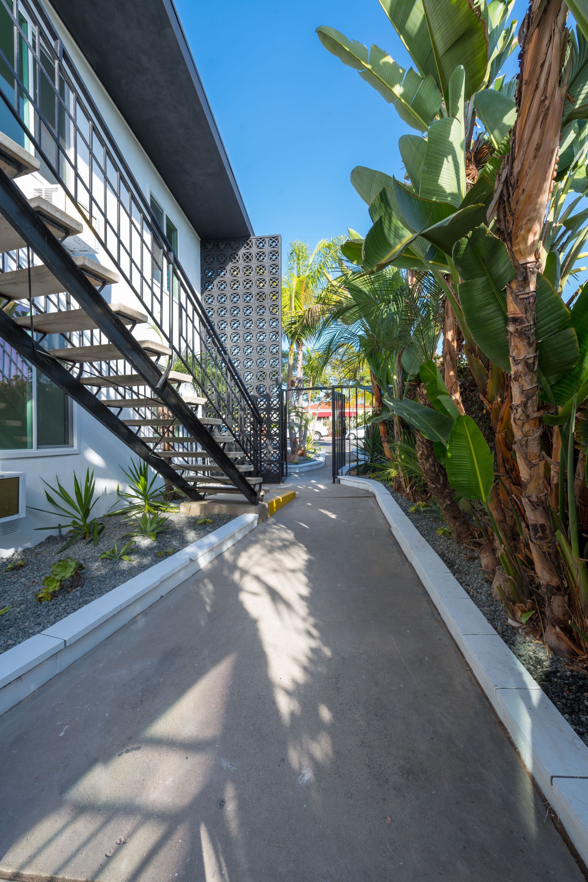 A walkway leading to a building with stairs and palm trees.