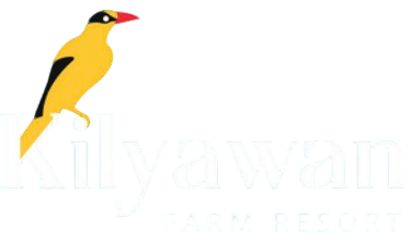 kilyawan resort logo