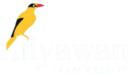 kilyawan resort logo