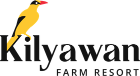 White abstract diamond-shaped logo