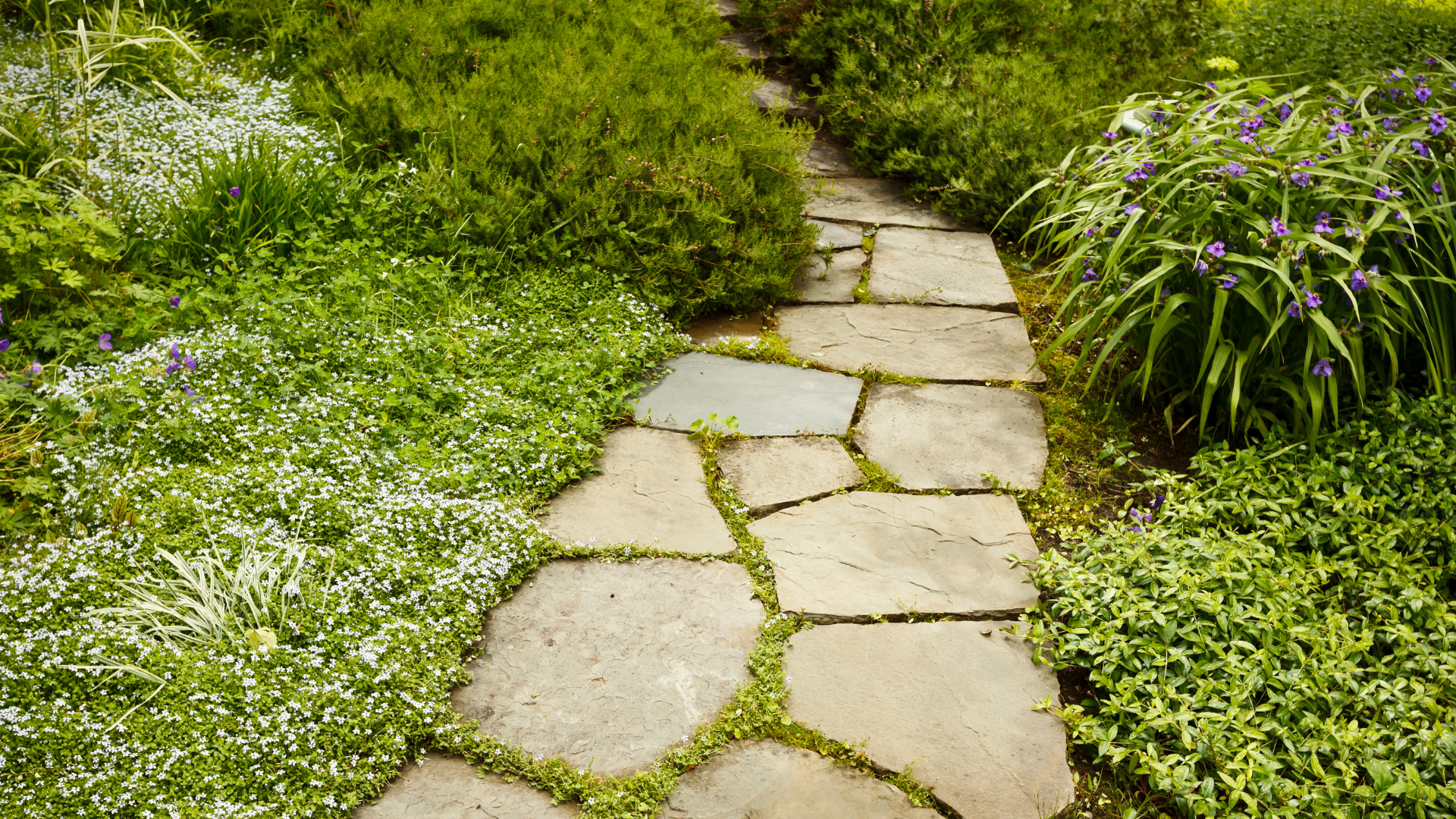 Riverside Landscape Gallery