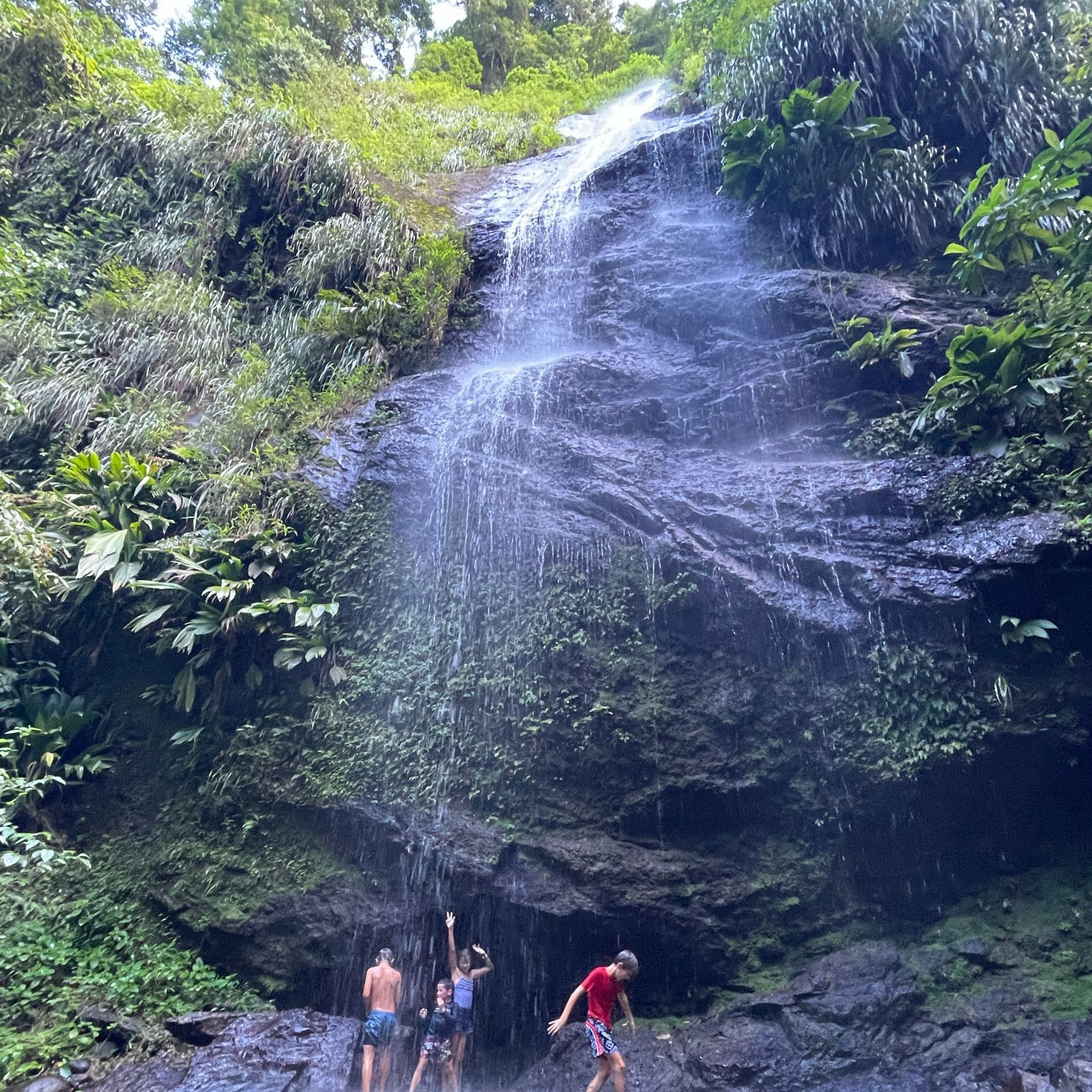 HIKES & TRAIL IN MARTINIQUE - VUE 3