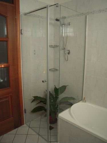 box doccia con pianta all`interno