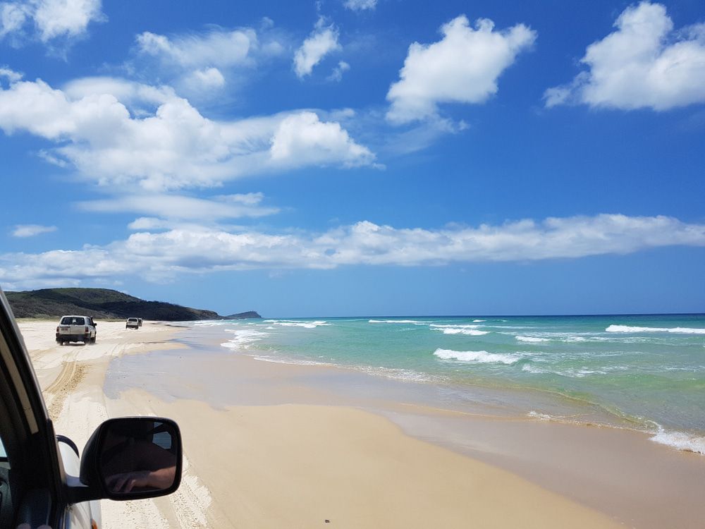 A Car is Driving Down a Sandy Beach Next to the Ocean — Active Tree Fellas in Fraser Coast, QLD