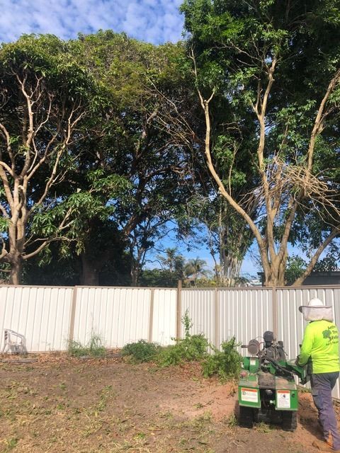 Arborist With Green Machine — Active Tree Fellas in River Heads, QLD