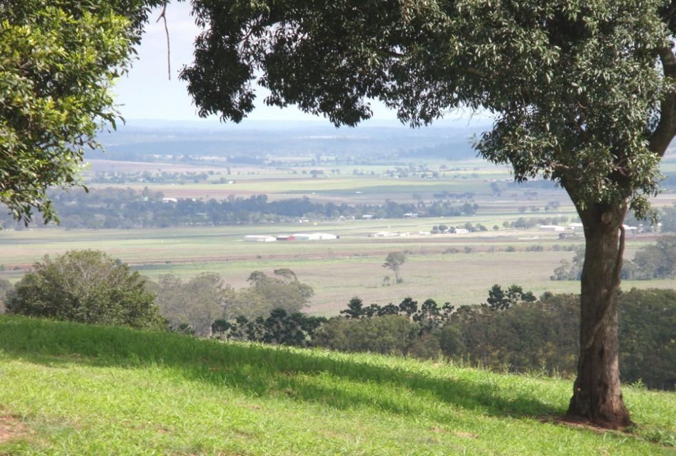 A Tree in a Grassy Field With a View of a Valley — Active Tree Fellas in Torbanlea, QLD