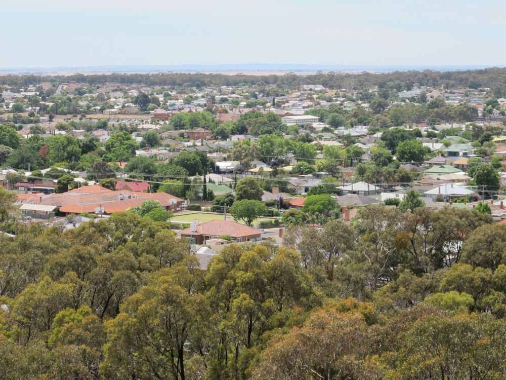 An Aerial View of a Residential Area Surrounded by Trees and Houses — Active Tree Fellas in Maryborough, QLD