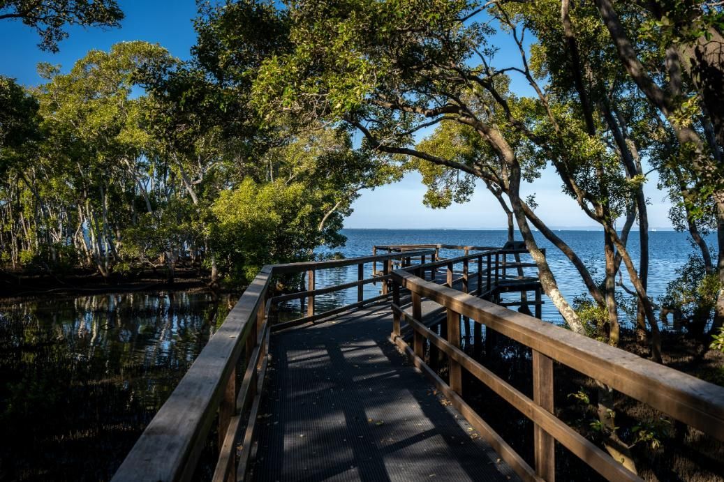 A Wooden Walkway Leading to a Body of Water Surrounded by Trees — Active Tree Fellas in Howard, QLD