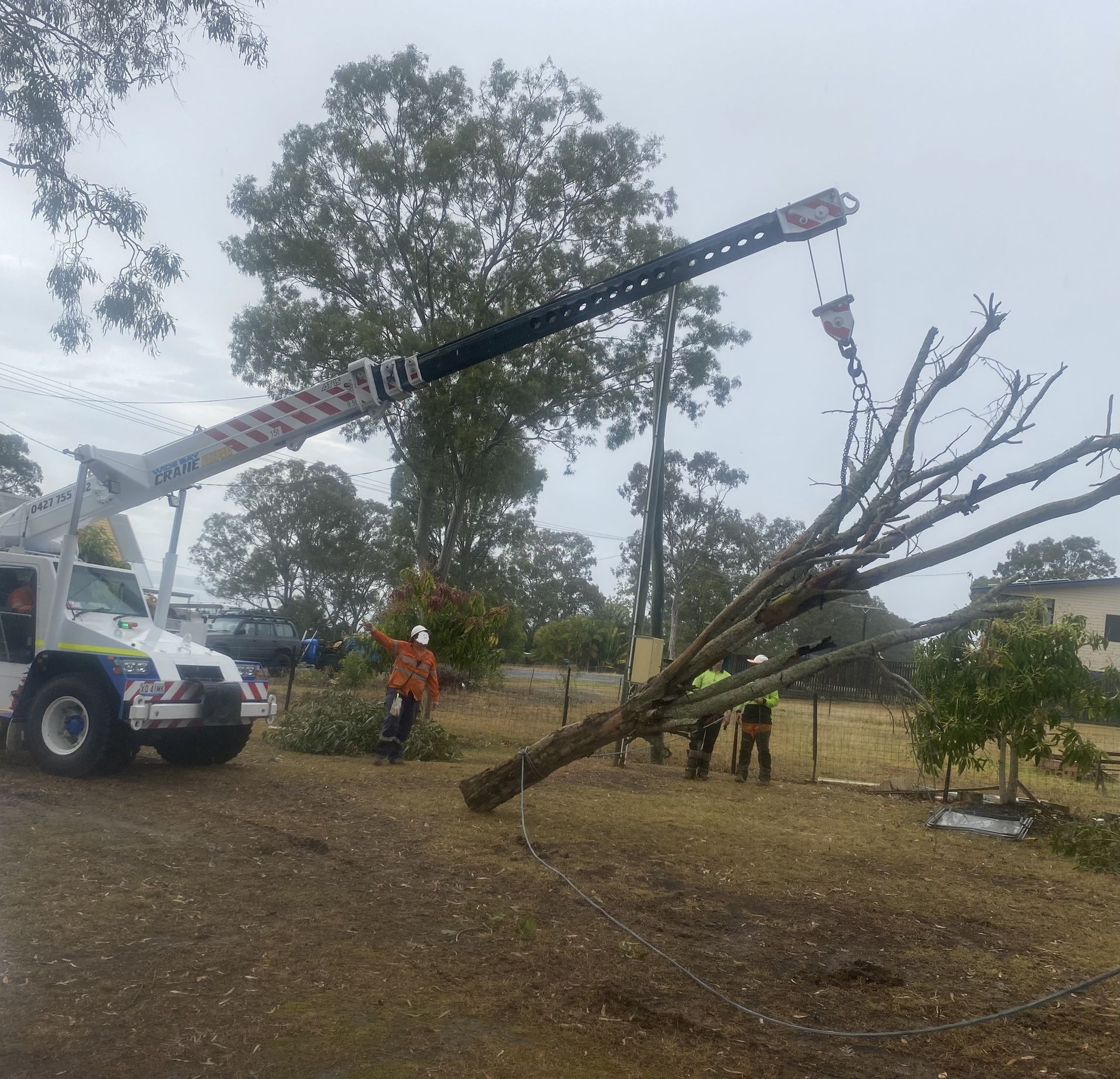 Working Man Cutting Tree Trunk With Chainsaw — Active Tree Fellas in Hervey Bay, QLD