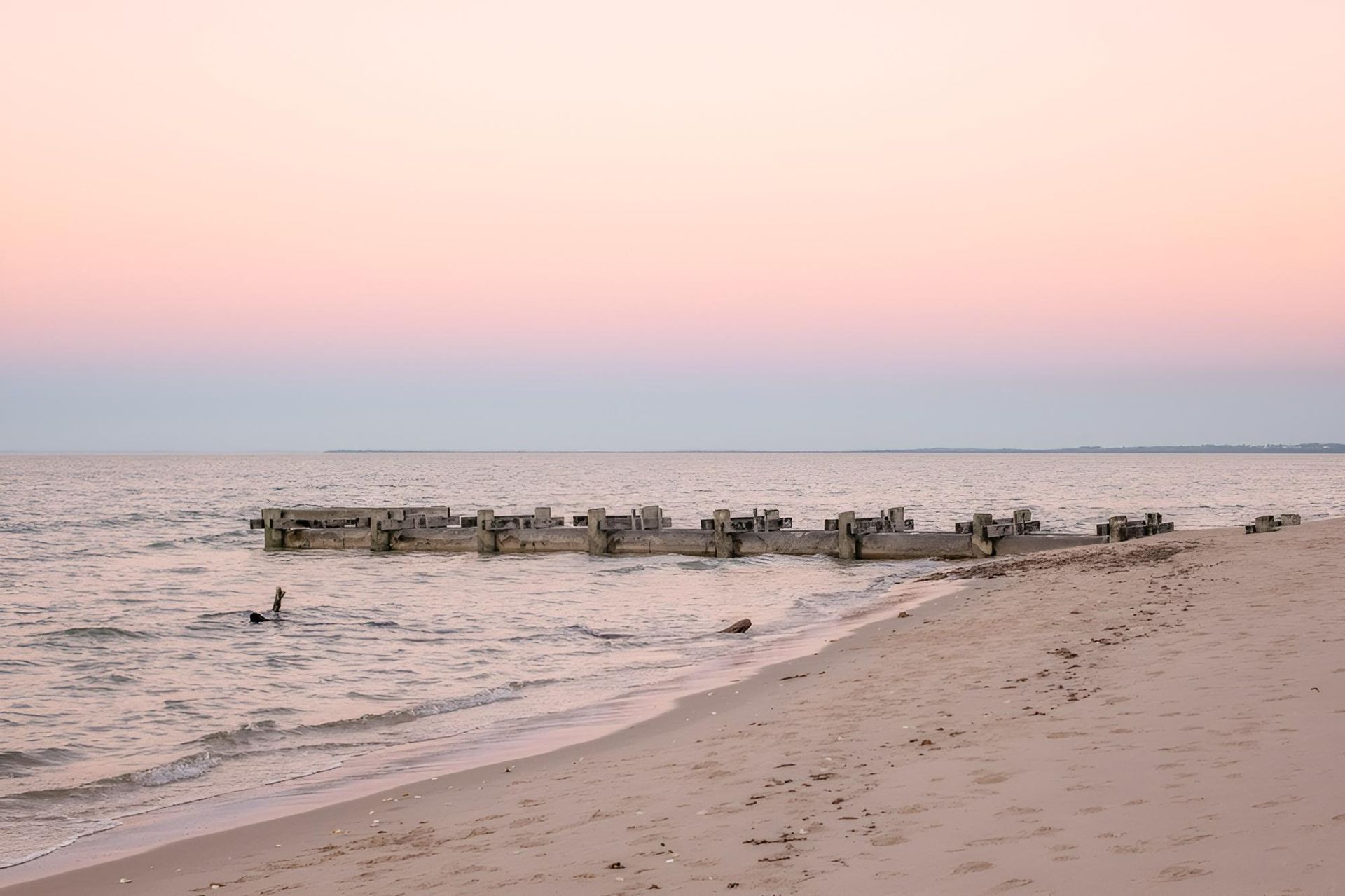 A Group of Ducks Are Swimming in the Ocean on a Beach at Sunset — Active Tree Fellas in Burrum Heads, QLD