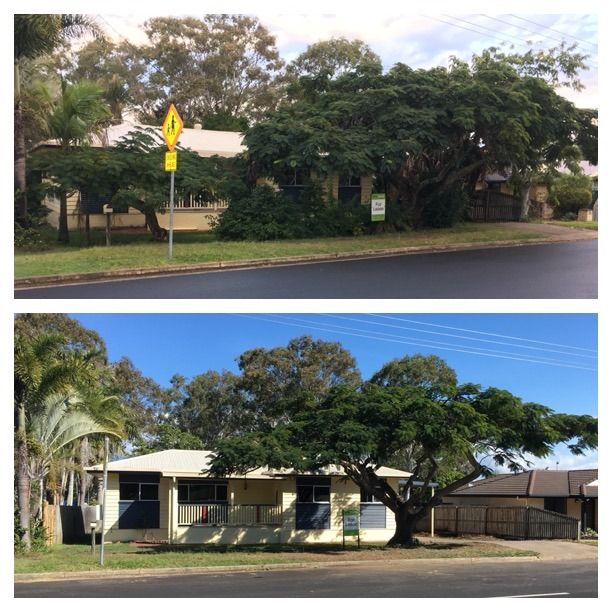 Trees Before and After — Active Tree Fellas in River Heads, QLD