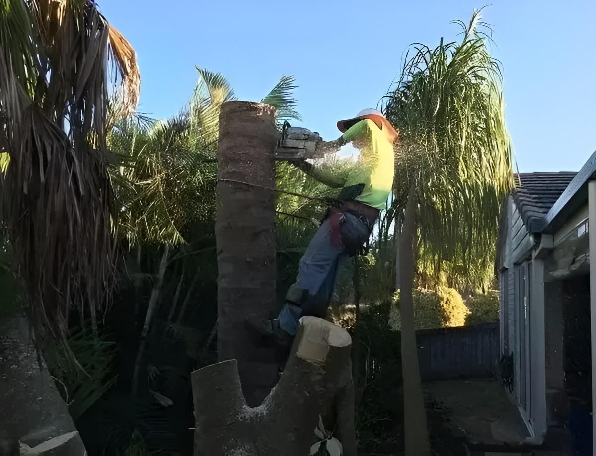 A Man is Cutting a Tree Trunk With a Chainsaw — Active Tree Fellas in Burrum Heads, QLD