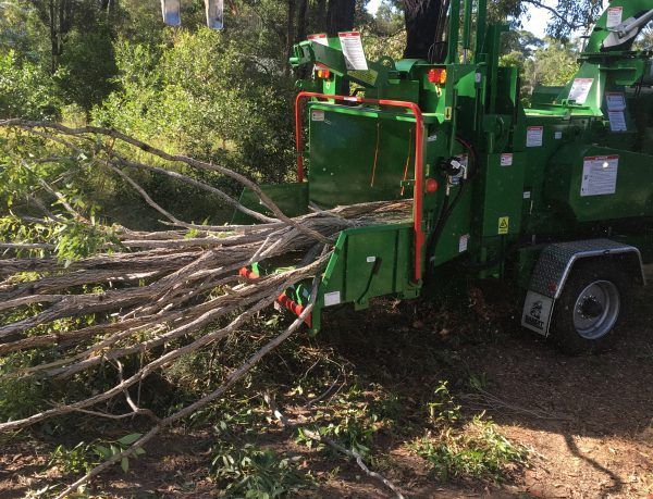 Green Machine With Branch of Trees — Active Tree Fellas in River Heads, QLD