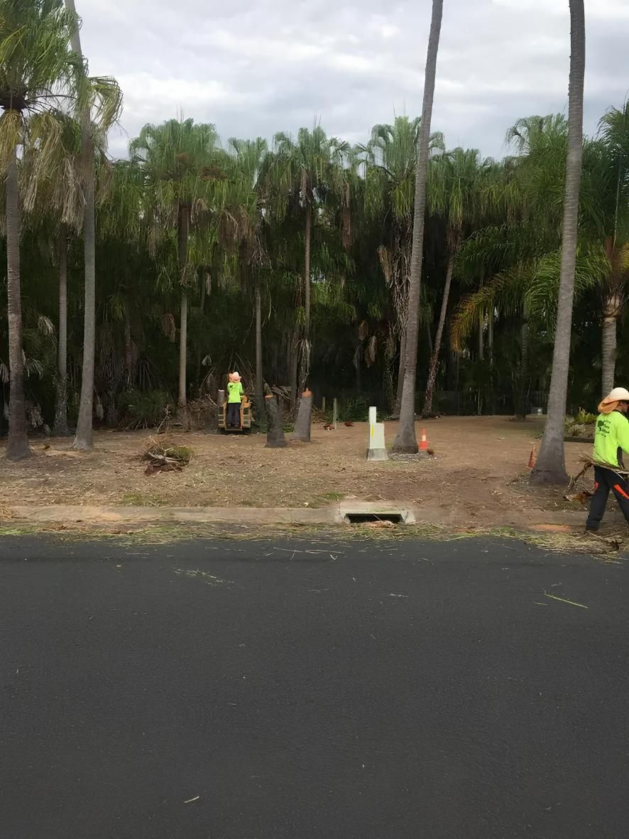 Chopped Trees by Arborist — Active Tree Fellas in Fraser Coast, QLD