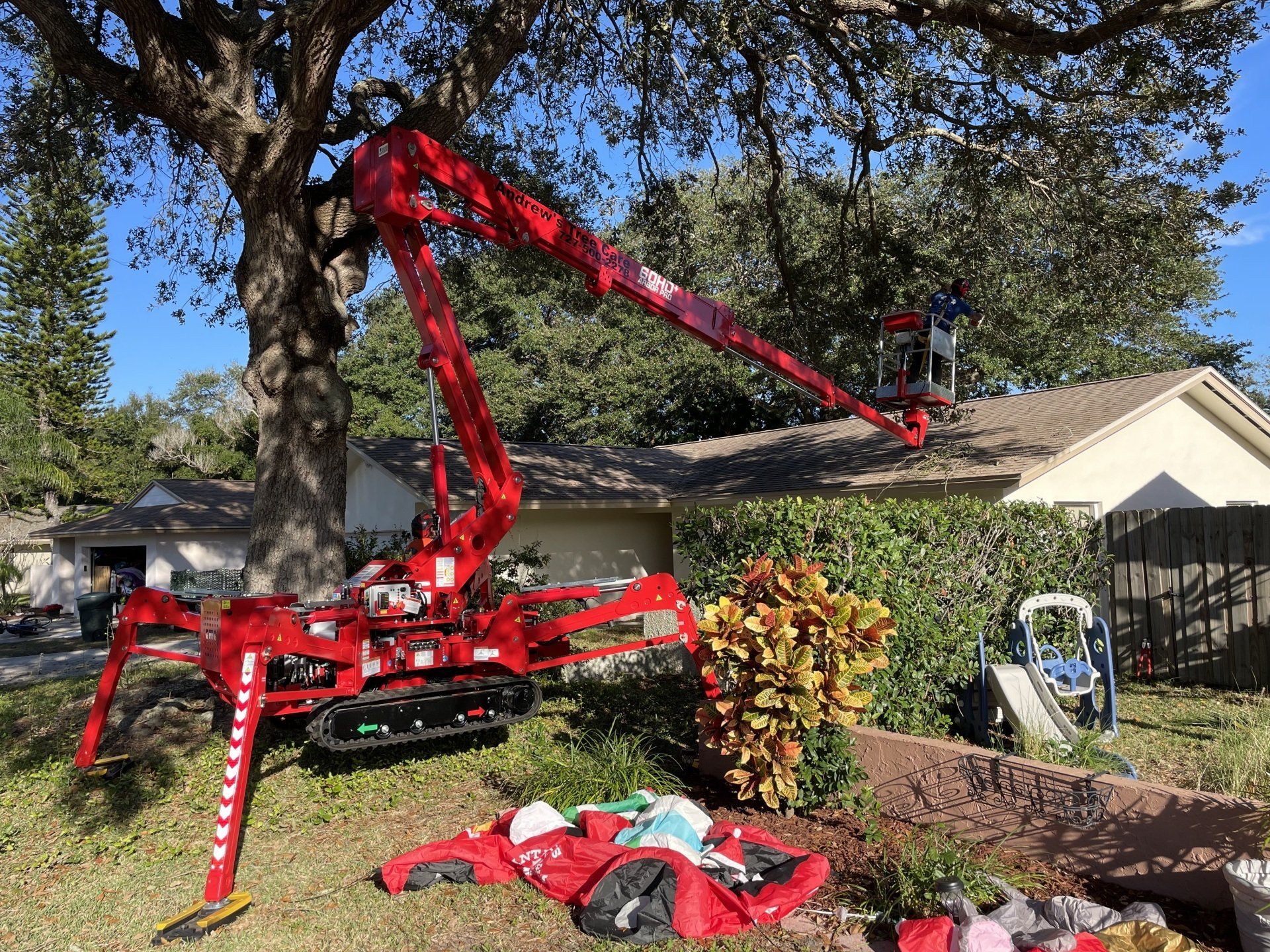 Tree Trimming Clearwater, FL Andrew's Tree Care