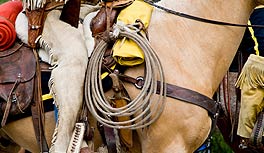 Horseback riding gear