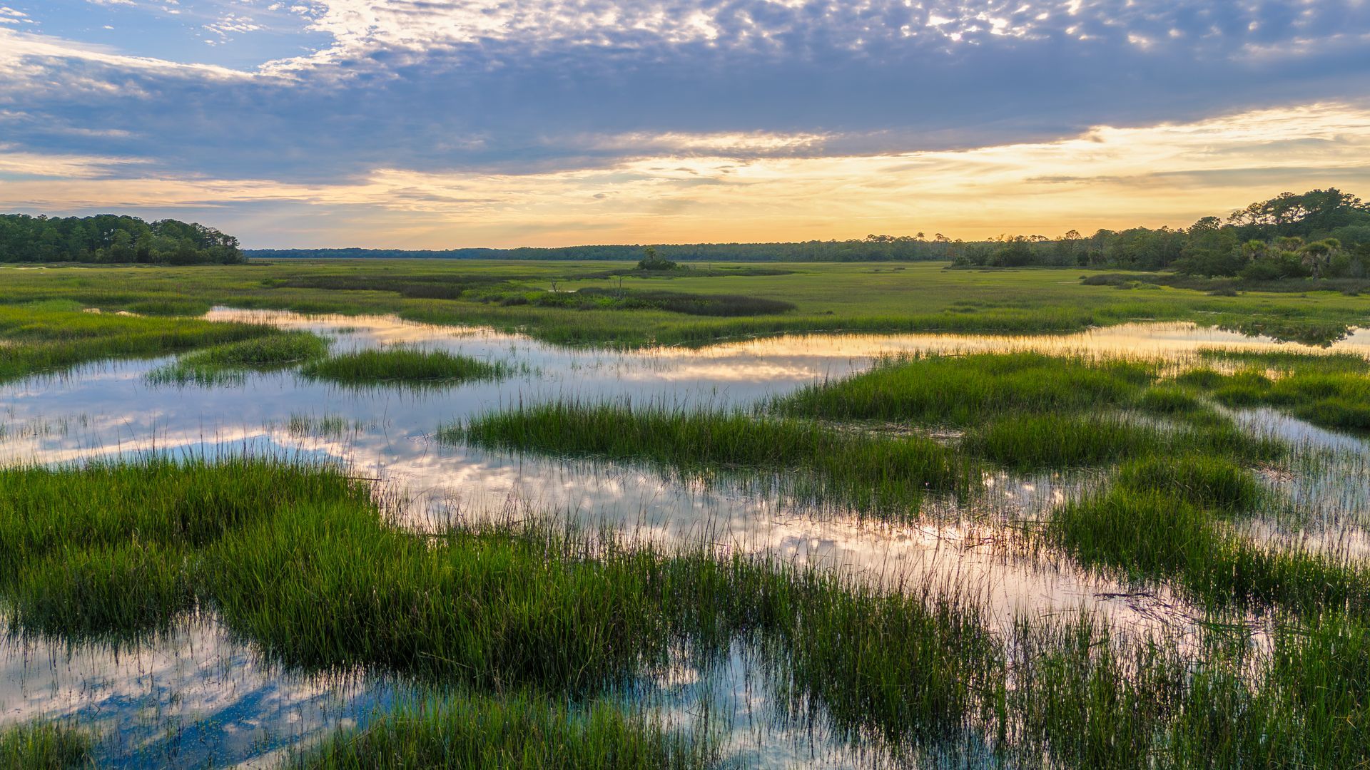 south carolina marsh land