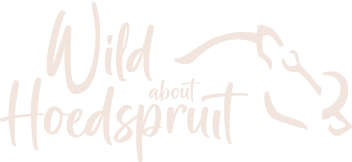 it is a logo for a company called wild about hoedspruit .