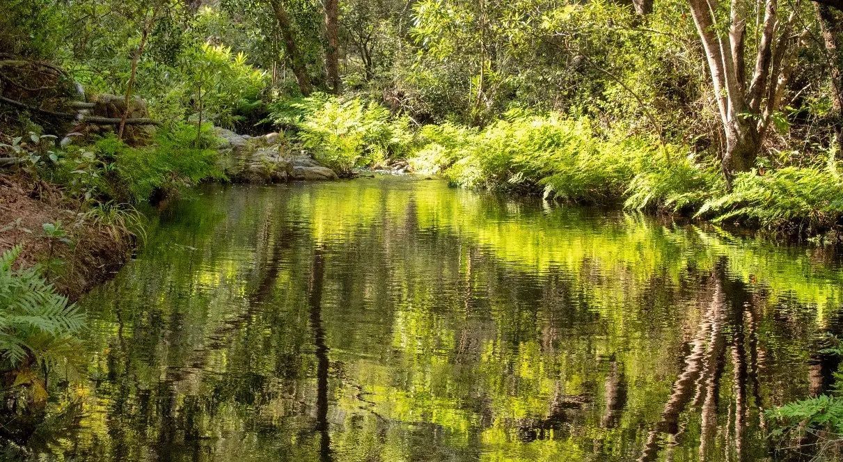 WILD ABOUT HOEDSPRUIT Everything Hoedspruit