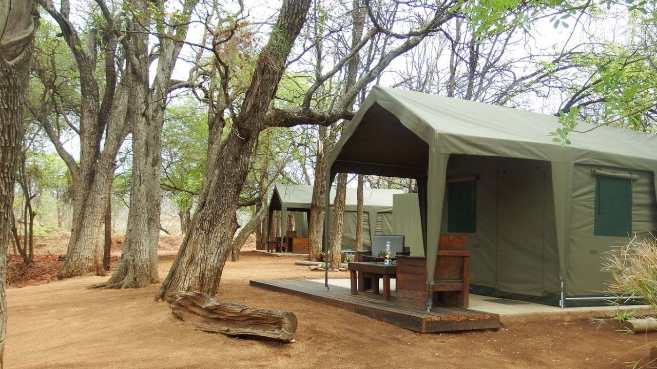 a group of safari tents in the middle of a forest .