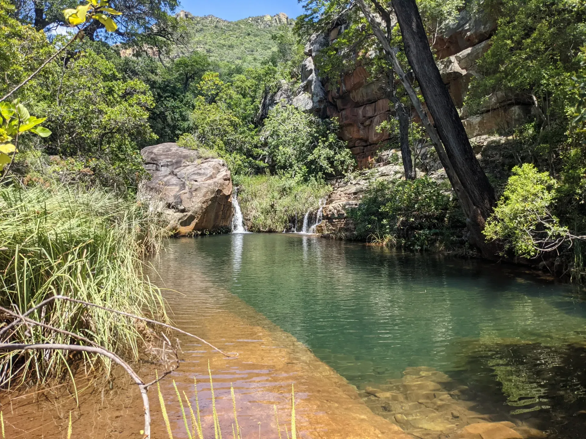 Kruger to Canyons Biosphere